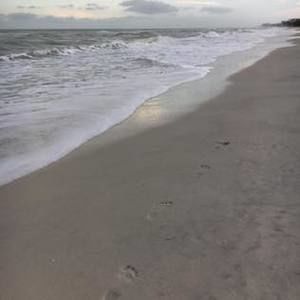 Meet your Posher, Annette